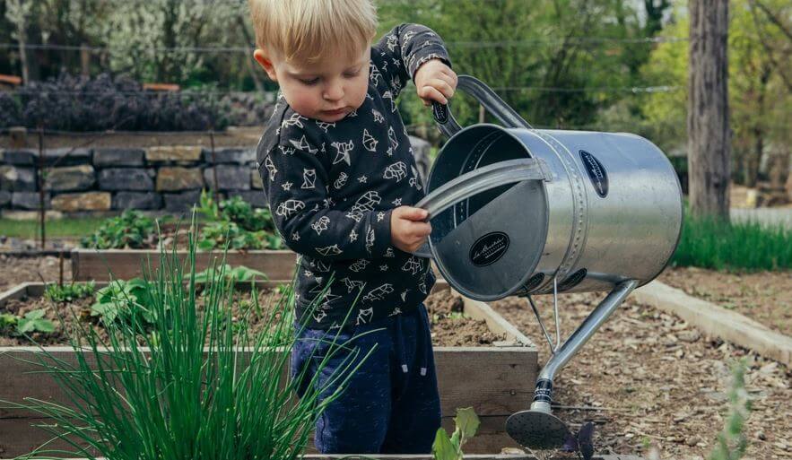Kako privući djecu u svijet vrtlarstva: Igrajući se sa sjemenkama otkrivaju čuda prirode